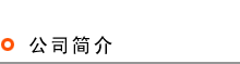 公司简介
